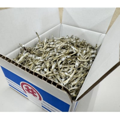 伊予煮干 いりこ 1kg 【2026年10月以降発送】 伊予灘産 瀬戸内海