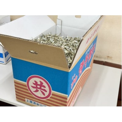 伊予煮干 いりこ 2kg 【2026年10月以降発送】 伊予灘産 瀬戸内海