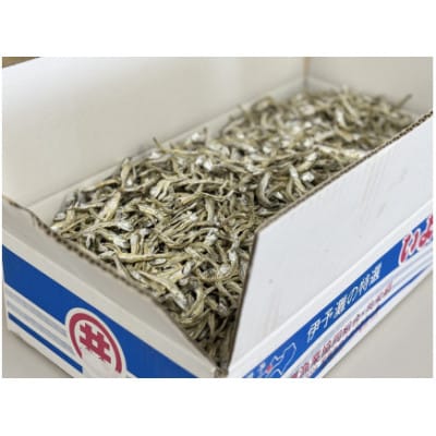 伊予煮干 いりこ 7kg 【2026年10月以降発送】 伊予灘産 瀬戸内海