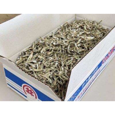 伊予煮干 いりこ 7kg 【2026年10月以降発送】 伊予灘産 瀬戸内海