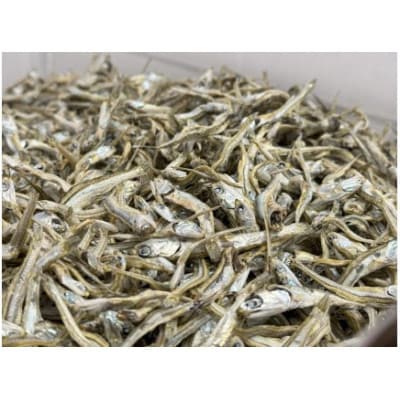 伊予煮干 いりこ 7kg 【2026年10月以降発送】 伊予灘産 瀬戸内海