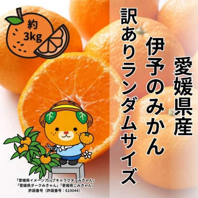 愛媛県伊予市産 訳ありランダムサイズ 伊予のみかん 約3kg