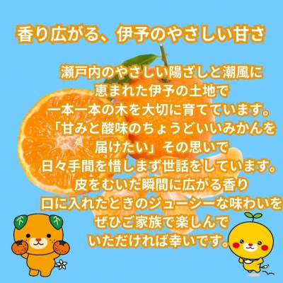 愛媛県伊予市産 訳ありランダムサイズ 伊予のみかん 約3kg