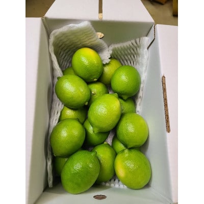 温室レモン　2kg