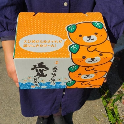 温室レモン　2kg