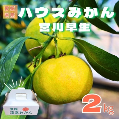 グリーンハウスみかん　2kg