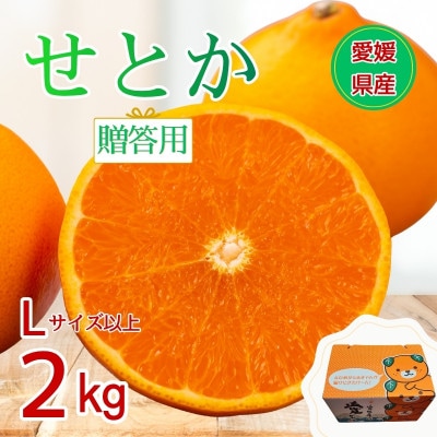施設せとか　2kg