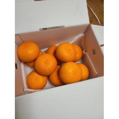施設せとか　2kg