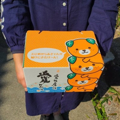 施設せとか　2kg