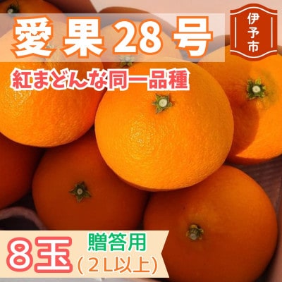 愛果28号　8玉