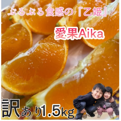 『愛媛の乙姫』　愛媛果試28号(みかん)　訳あり品　1.5kg