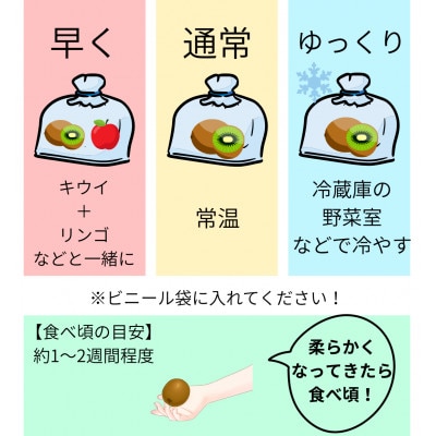 『翠珠の宝石』キウイ　秀品・優品込み　1.5kg