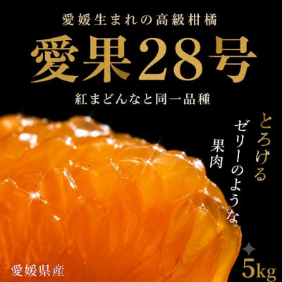 愛果28号 約5kg バラ詰め 愛媛県伊予市産　ご家庭用