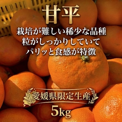 愛媛県産 甘平　約5kg　ご家庭用　バラ詰め