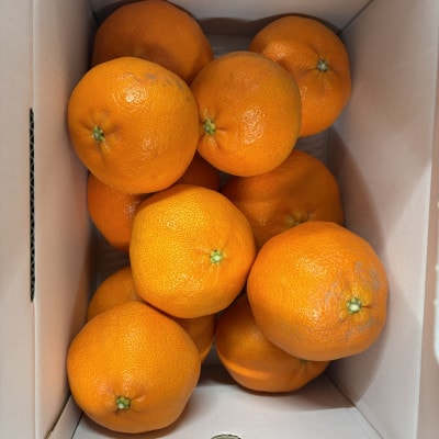 愛媛県産 甘平　約3kg　家庭用　バラ詰め