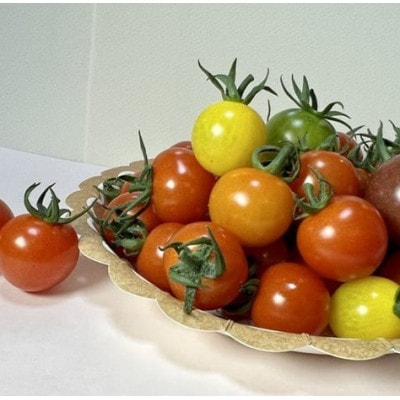 ミニトマト計1600gから1800gカラートマト食べ比べセット