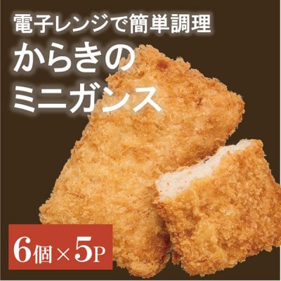 【からき天ぷら店】がんす(ミニ) 30個 | B176