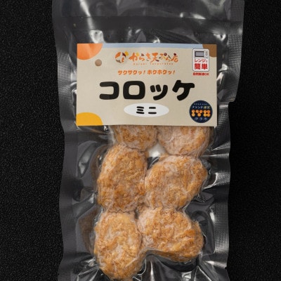 【からき天ぷら店】コロッケ(ミニ) 60個|B411