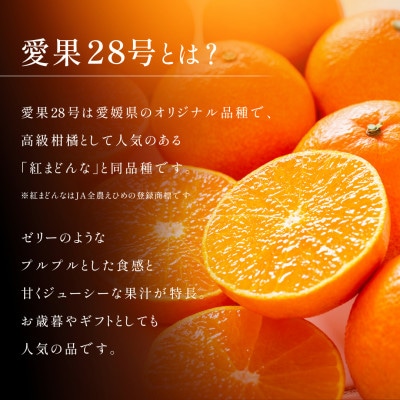 【先行予約】2026年11月下旬より順次発送　愛果28号　紅まどんなと同一品種