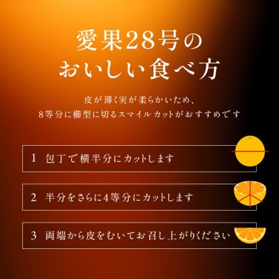 【先行予約】2026年11月下旬より順次発送　愛果28号　紅まどんなと同一品種