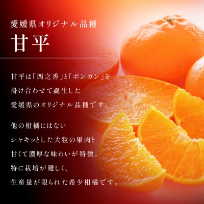 【先行予約】2027年2月より順次発送 甘平