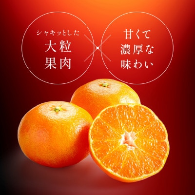 【先行予約】2027年2月より順次発送 甘平