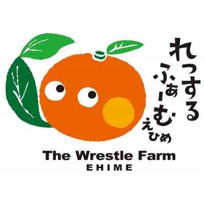 愛果28号 家庭用訳あり　5kg箱 中玉から大玉 計20個前後