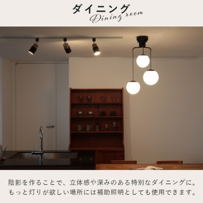 スポットライト 1灯 エトーレ ダクトレール用(ホワイト)