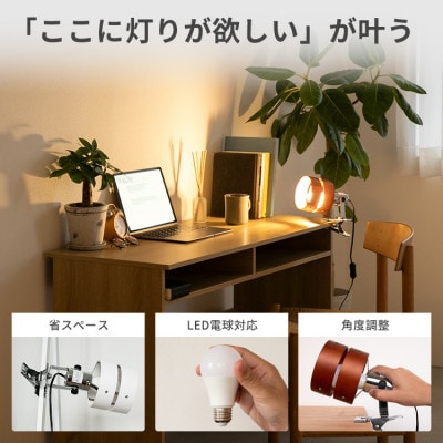 スポットライト 1灯 レダ(ブラウン)