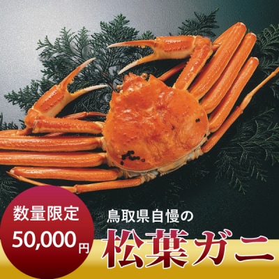 先行受付【倉吉魚市】ボイル松葉がに(大)