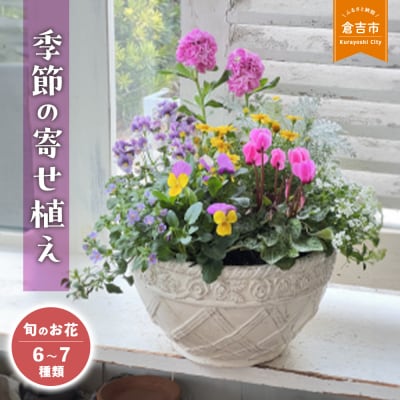 季節の寄せ植え　L