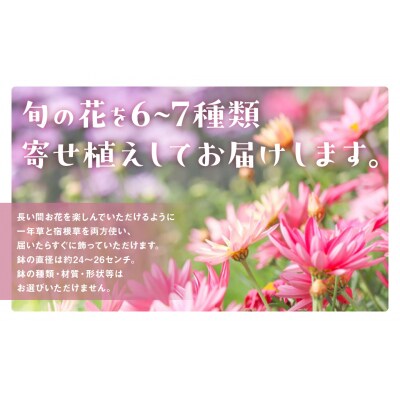 季節の寄せ植え　L