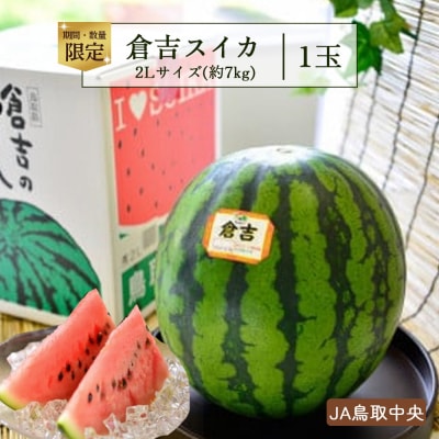 倉吉スイカ1玉(JA鳥取中央) 2L すいか 期間限定 数量限定