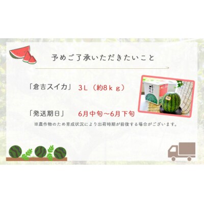倉吉スイカ1玉(JA鳥取中央) 3Lサイズ