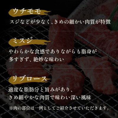 【和牛セレブ】鳥取和牛5種焼肉食比べ 500g