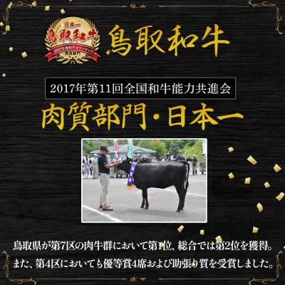 鳥取和牛　切り落とし肉2.4kg　KR0358　　
