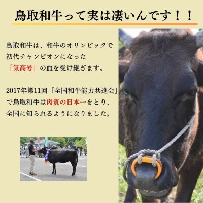 鳥取和牛 切り落とし肉 4kg