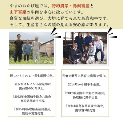 鳥取和牛 切り落とし肉 4kg