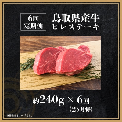 鳥取県産牛 ヒレステーキ6回定期便<奇数月>