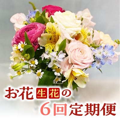 お花(生花)の6回定期便