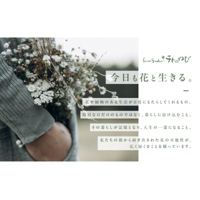 お花(生花)の6回定期便