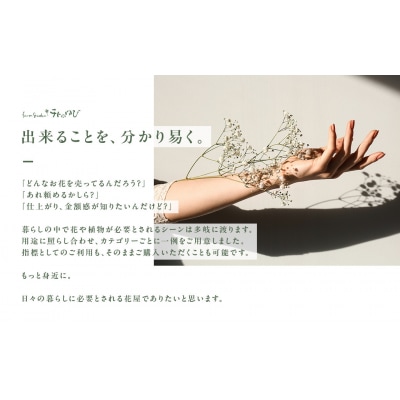 お花(生花)の6回定期便