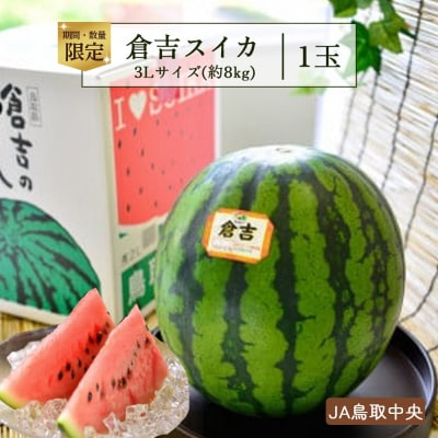  倉吉スイカ1玉(JA鳥取中央)  3L 大玉 すいか 数量限定 期間限定 