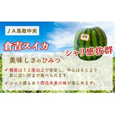  倉吉スイカ1玉(JA鳥取中央)  3L 大玉 すいか 数量限定 期間限定 