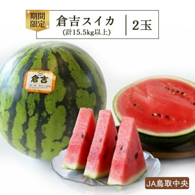 倉吉スイカ2玉 (JA鳥取中央)  すいか 数量限定 期間限定