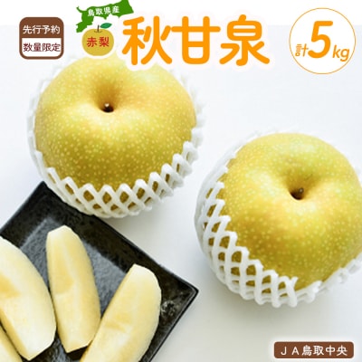 秋甘泉 (5kg)【倉吉産】 あきかんせん 鳥取 ブランド梨 数量限定 