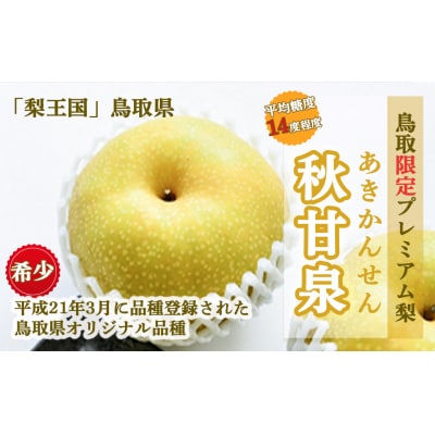 秋甘泉 (5kg)【倉吉産】 あきかんせん 鳥取 ブランド梨 数量限定 