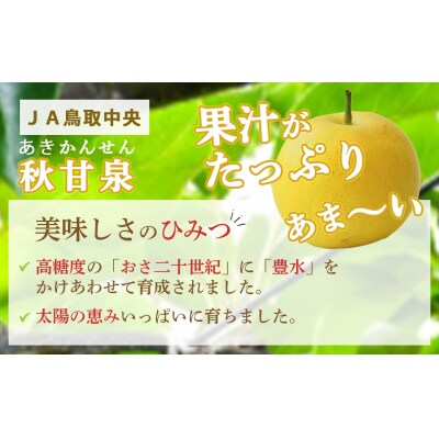 秋甘泉 (5kg)【倉吉産】 あきかんせん 鳥取 ブランド梨 数量限定 