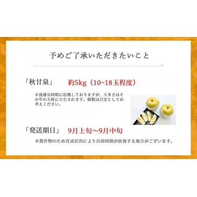 秋甘泉 (5kg)【倉吉産】 あきかんせん 鳥取 ブランド梨 数量限定 
