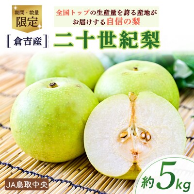二十世紀梨 【倉吉産】5kg(JA鳥取中央) 20世紀梨 数量限定 ブランド梨